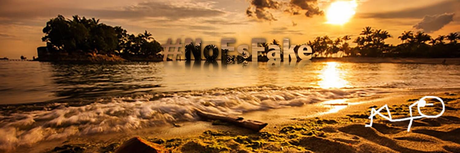 Noesfake's profile banner image