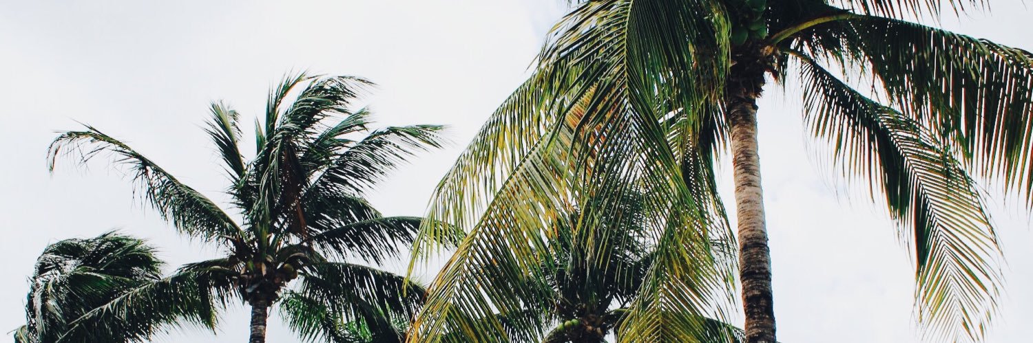 Samantha Molnar banner