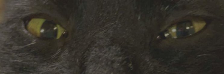 0olafo0's profile banner image