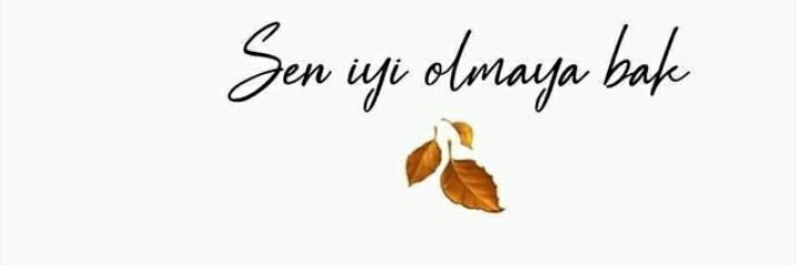 Elif953's profile banner image