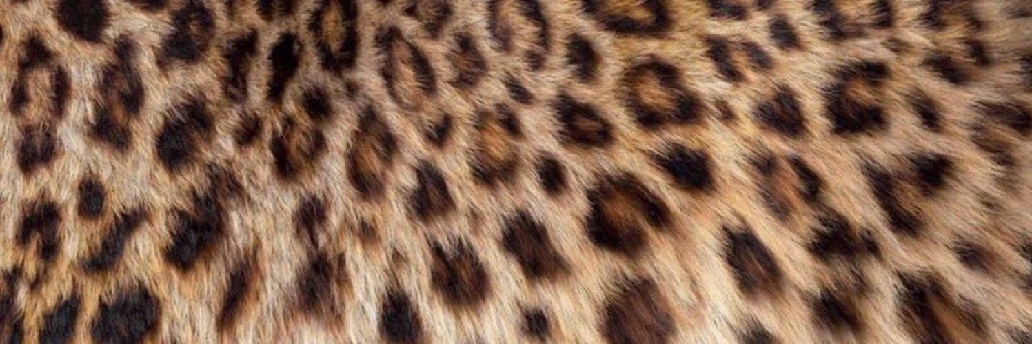 kenestelle's profile banner image
