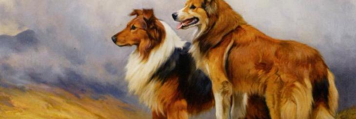 CuratorCanines's profile banner image