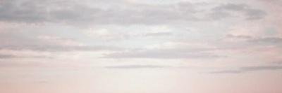 reedmarryme_'s profile banner image