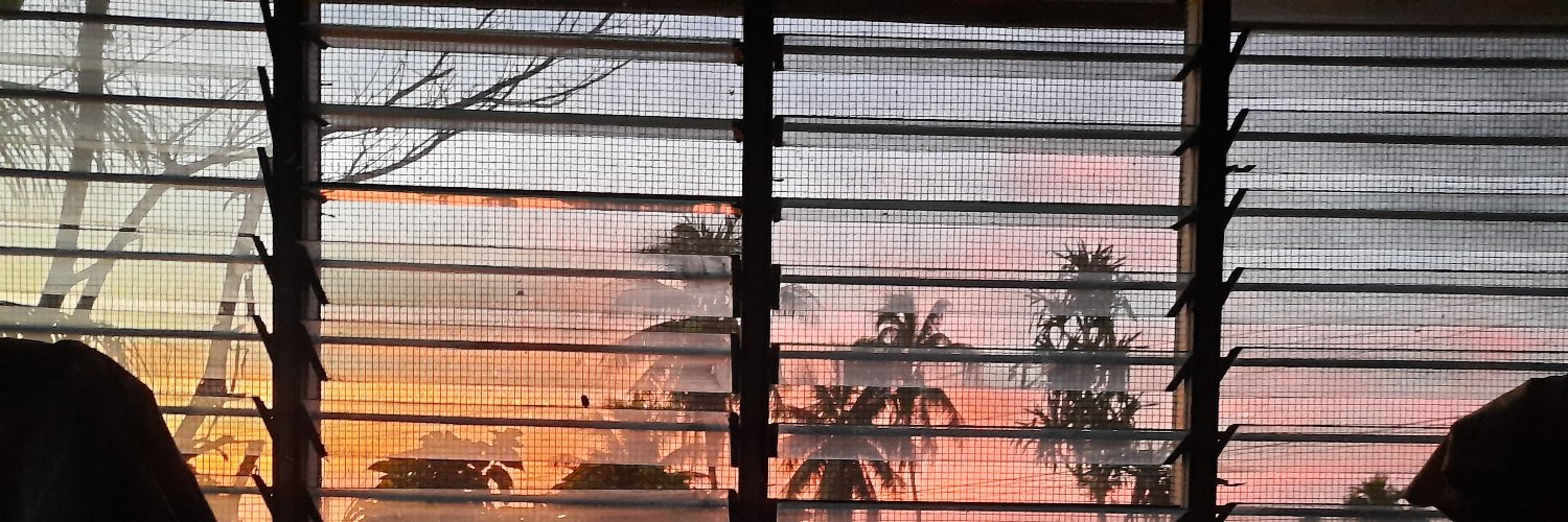 penimanu's profile banner image
