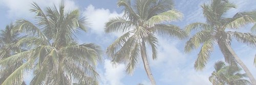 yoitsab's profile banner image