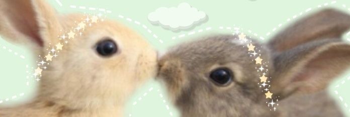 Hazz_Benjamin's profile banner image