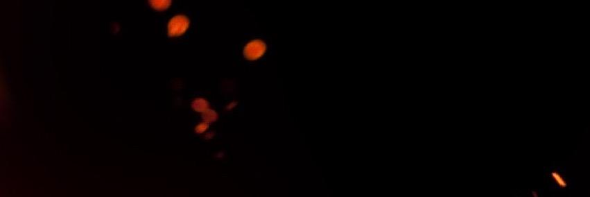 WTFanPage's profile banner image