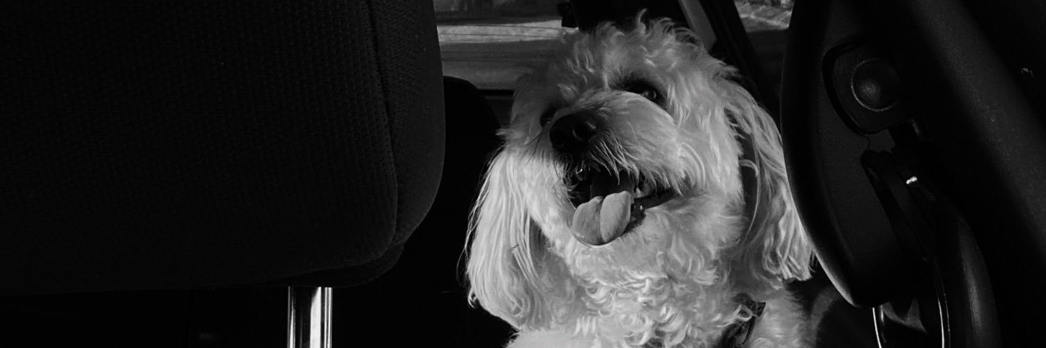 taniaaldz's profile banner image