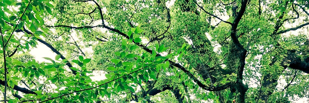 keinoa21's profile banner image