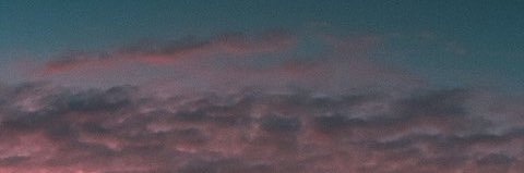 choigonuts's profile banner image