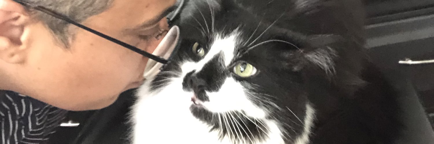 sidTarabulsi's profile banner image