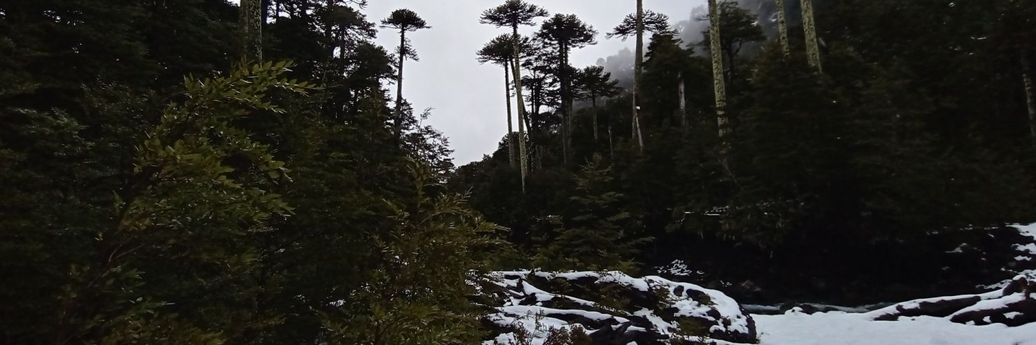MyCuteChile's profile banner image