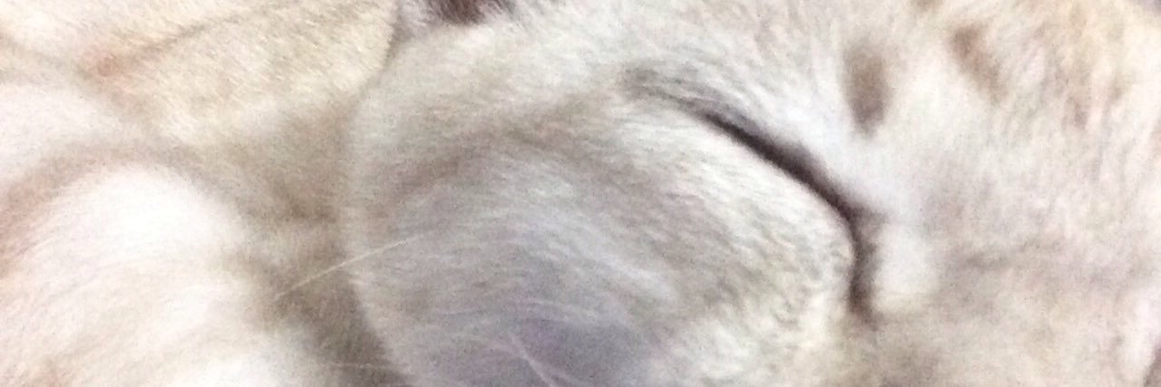 MILDMINT_mild's profile banner image