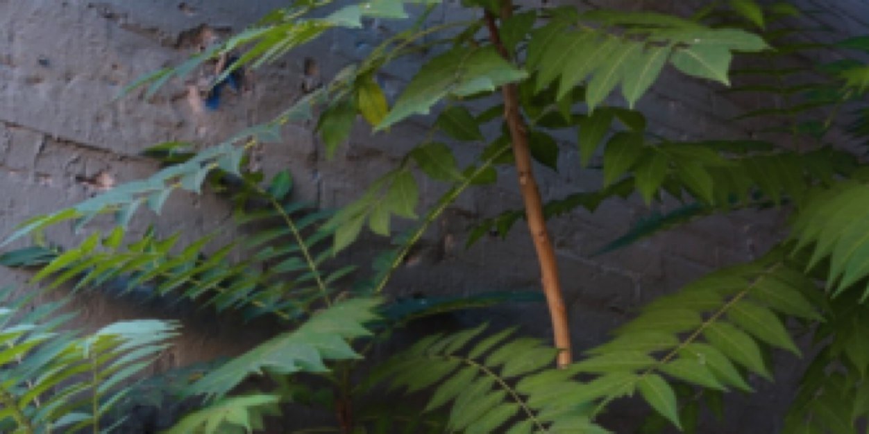 ShaneWilsonSA's profile banner image