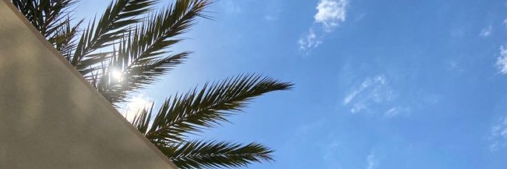 SilvaaPrincipe's profile banner image