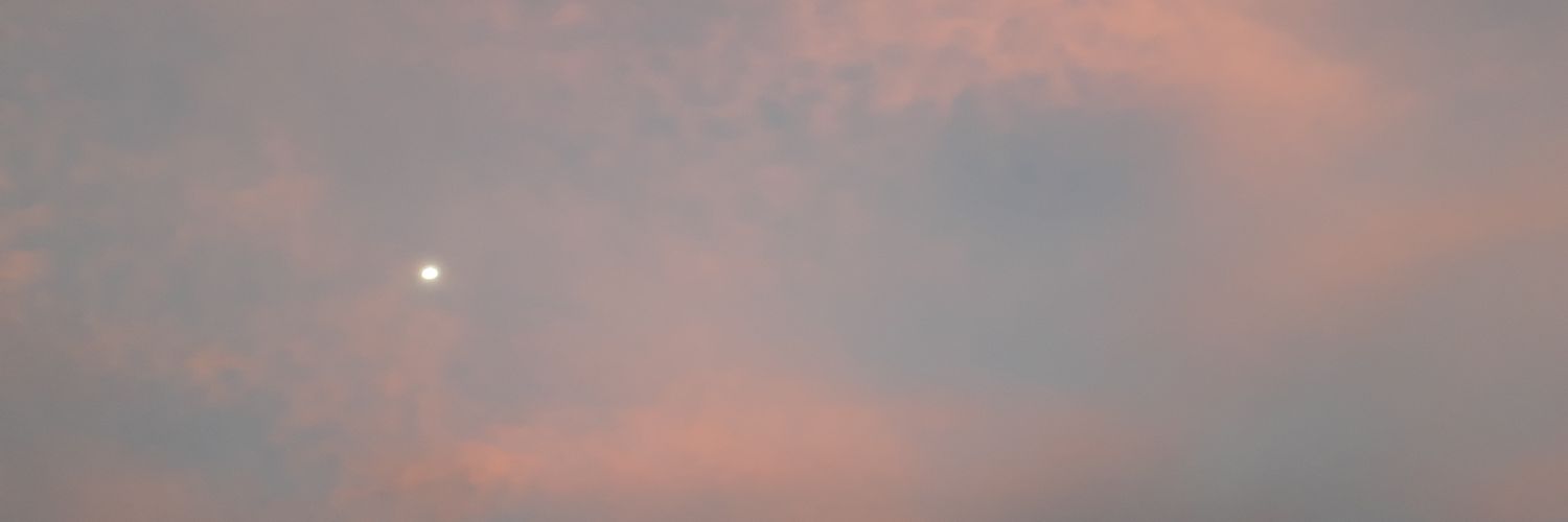 _Zinh0_'s profile banner image