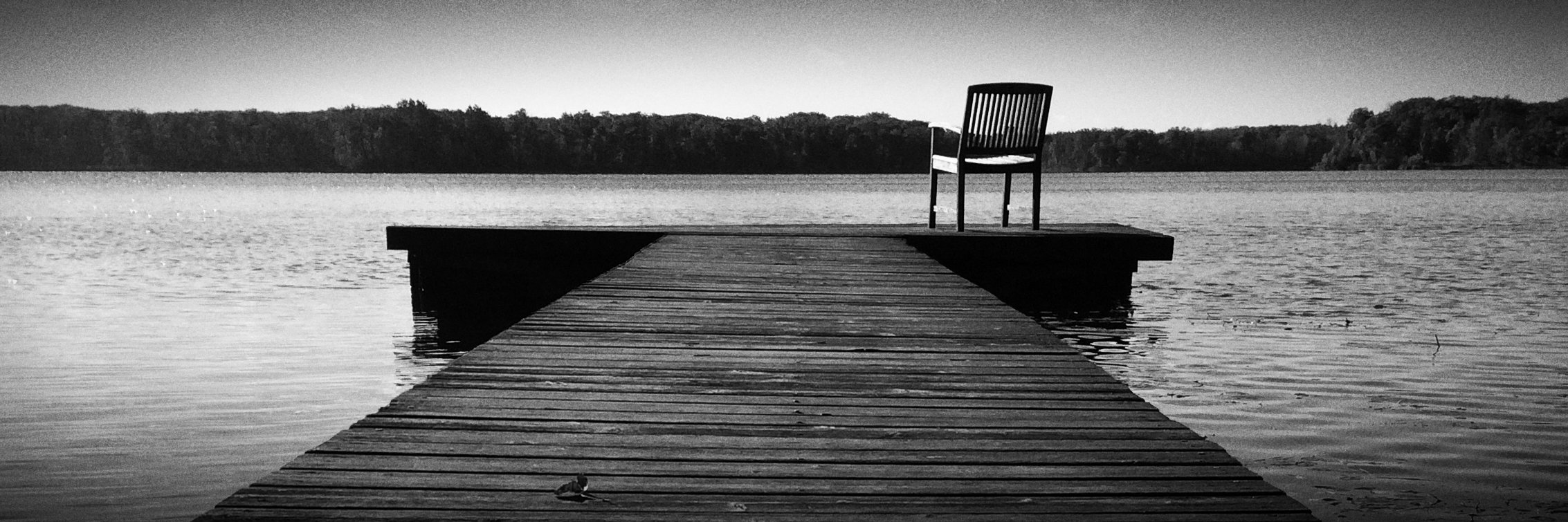 daviddillonart's profile banner image