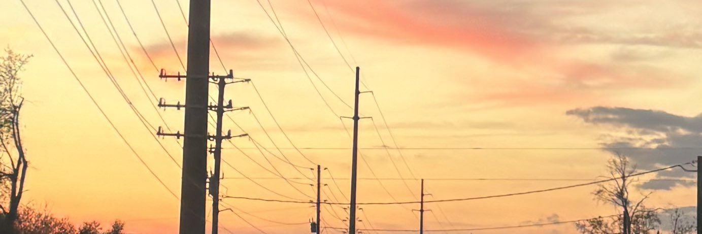 shaylayas's profile banner image