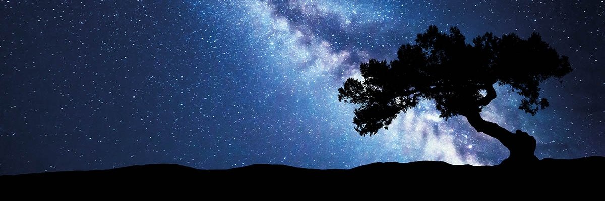 DuckDuckTweets_'s profile banner image