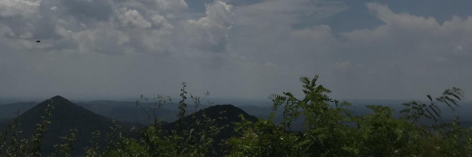 Lexi_Lance1's profile banner image