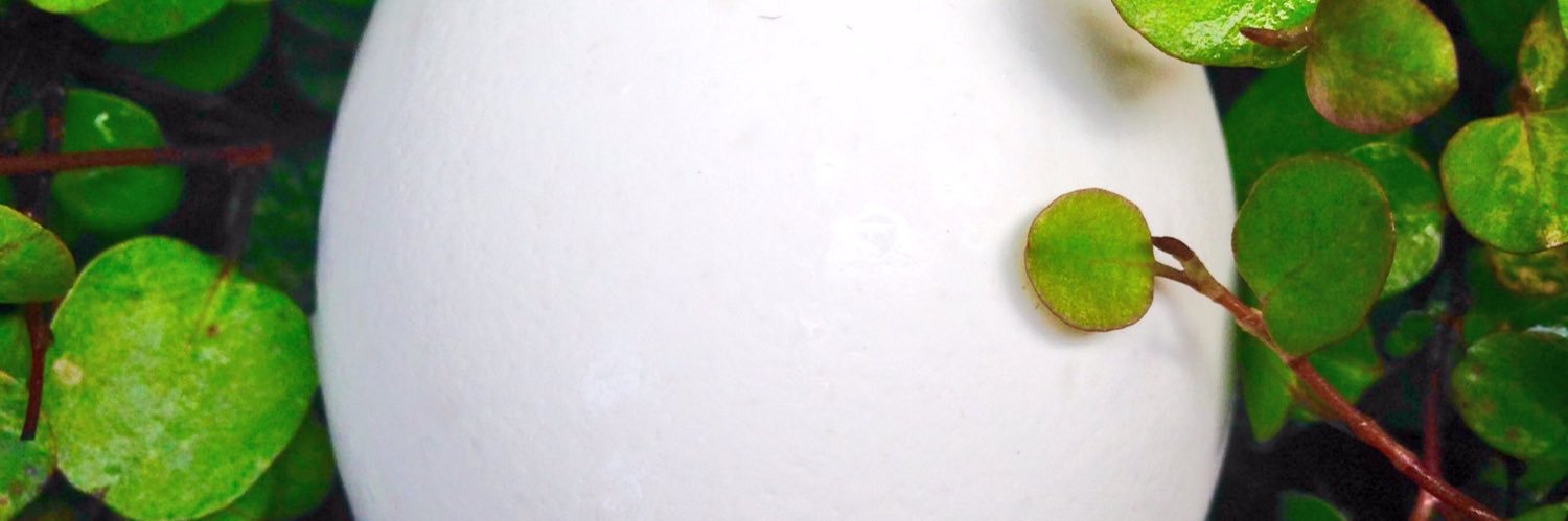 bril000's profile banner image