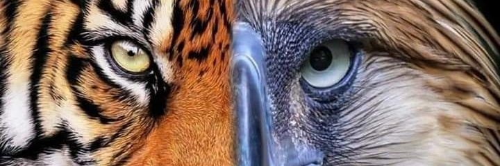 boyetzalameda's profile banner image