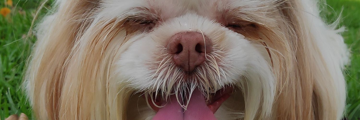 guitwitadas's profile banner image