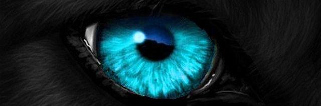 TheFilmJr's profile banner image
