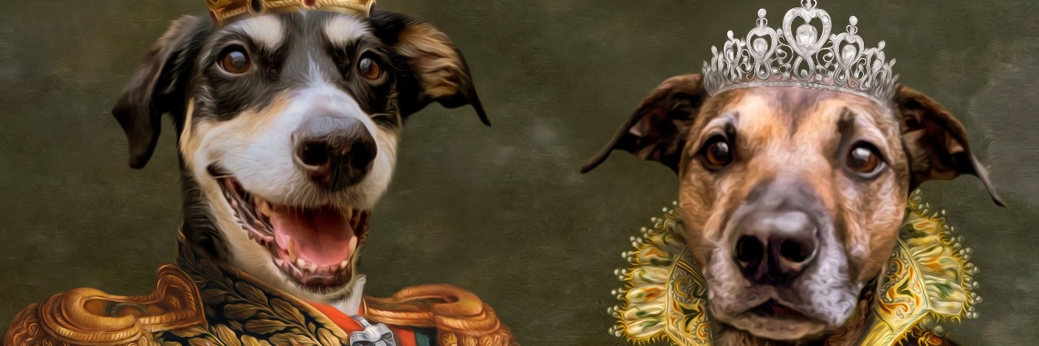 PJGaroosy's profile banner image