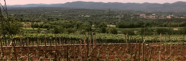 FinSommelier Profile Banner