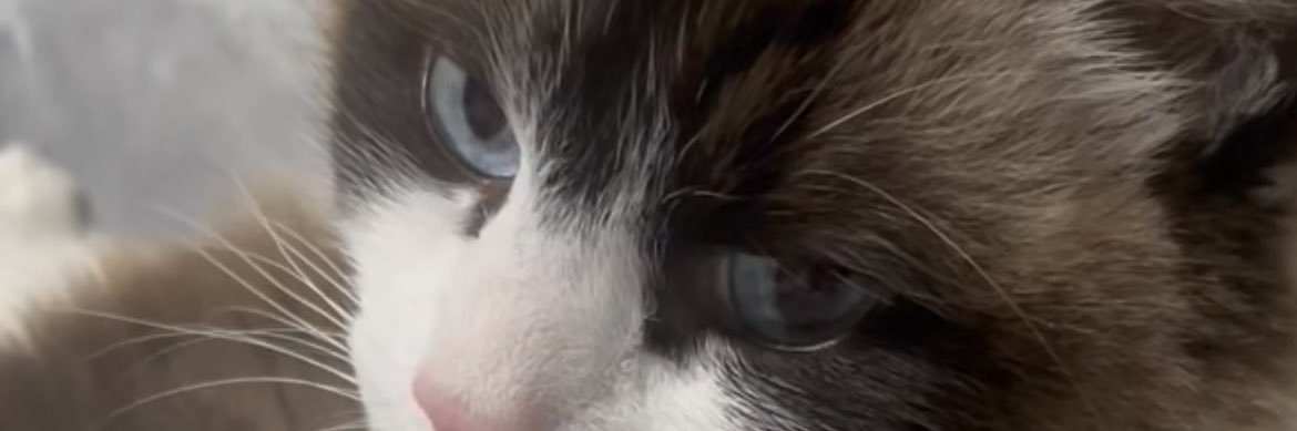 TAKASKE-【埼玉県】 🥷超修業中🥷 banner