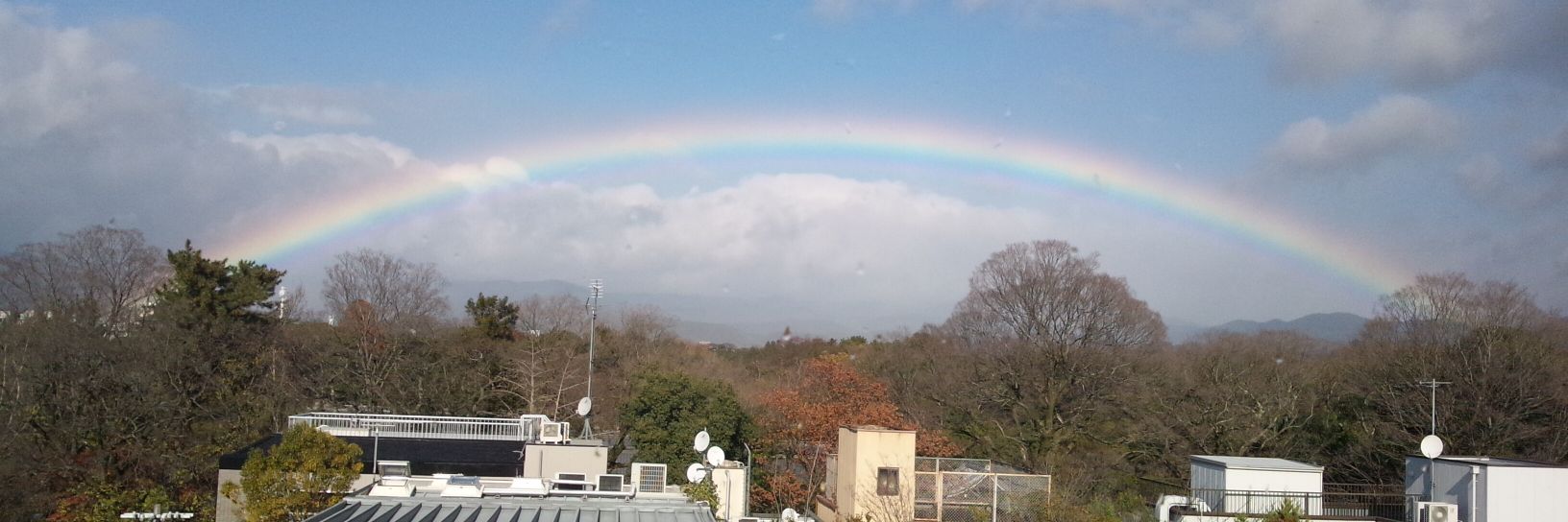 nanchiy217's profile banner image