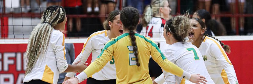 Parkview Volleyball banner