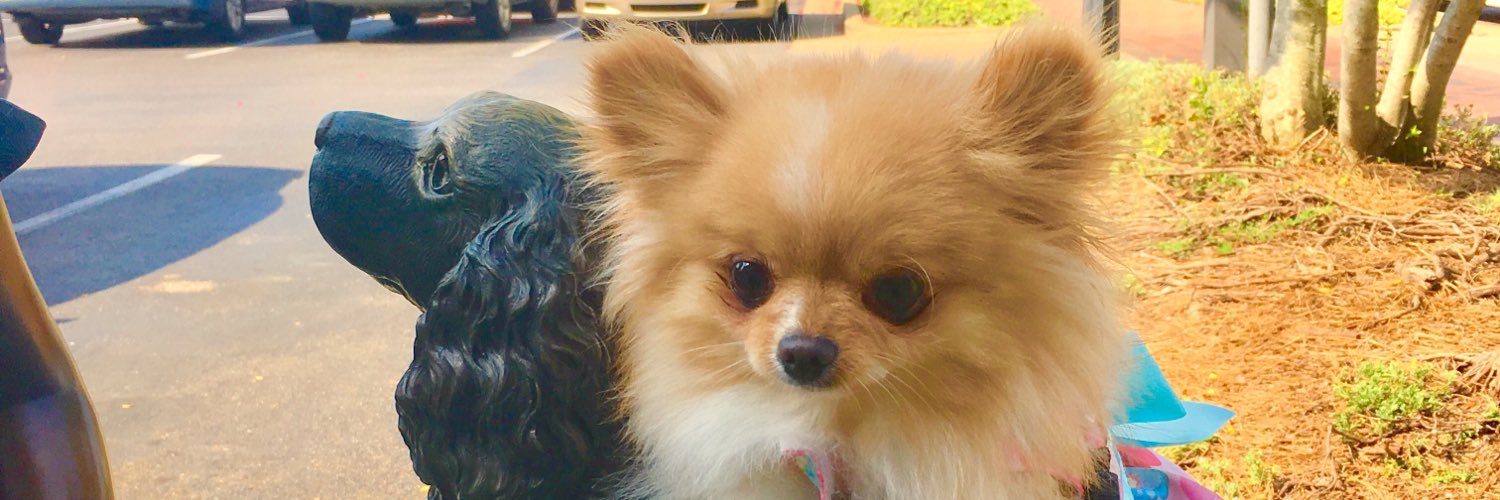 Samantha Bustos-Hubeny, NBCT banner