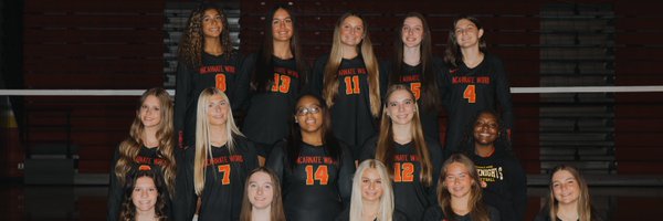 IWAVolleyball Profile Banner