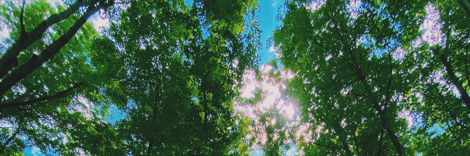 saavcollins's profile banner image
