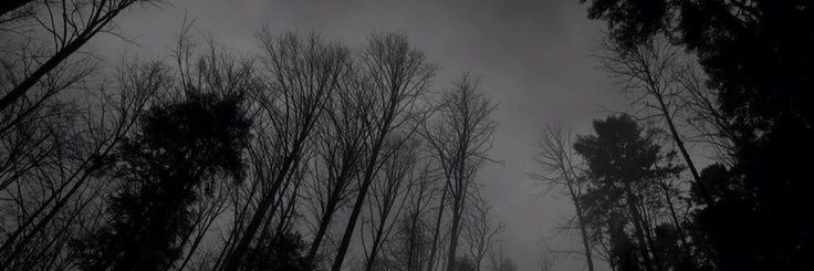 falsecreates's profile banner image