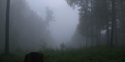 MadieHW_SYL's profile banner image