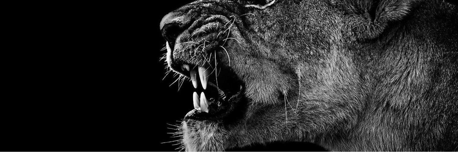 nicholasamore's profile banner image