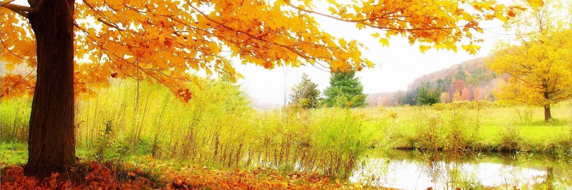 ComRetrica's profile banner image