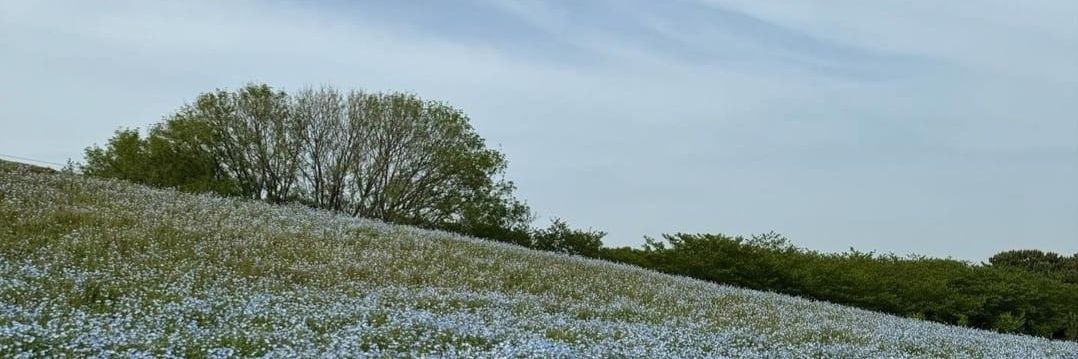 Isnamfd_'s profile banner image