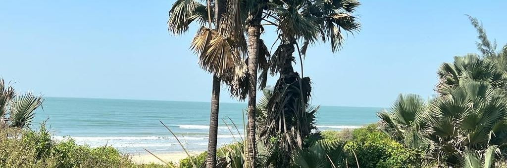 Ousman Ceesay banner