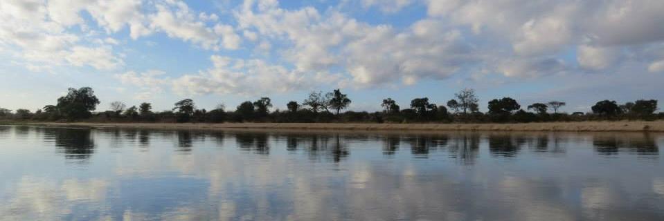 SJ Maples 5SJM banner