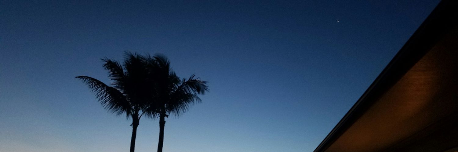 tenille_n's profile banner image