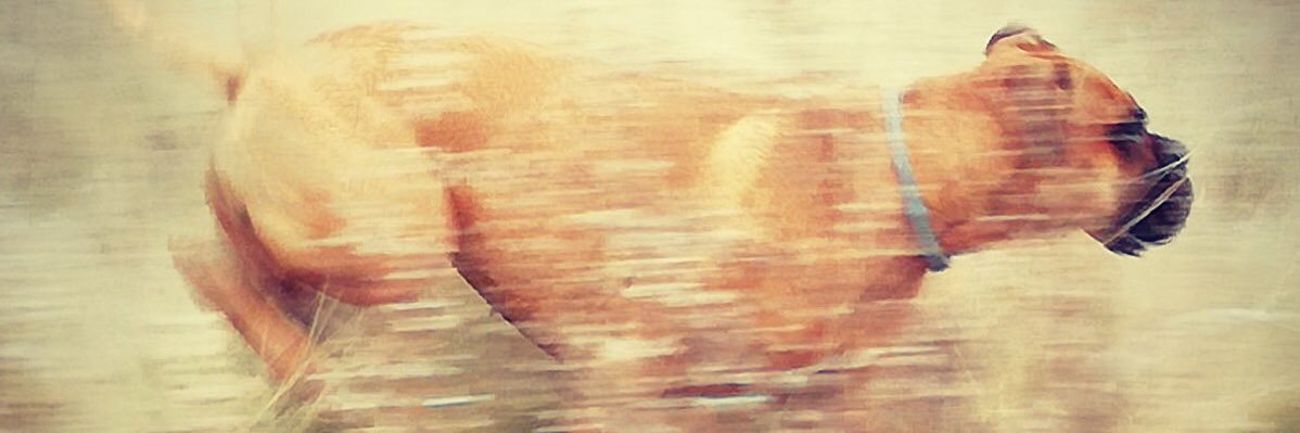 adRi__03's profile banner image