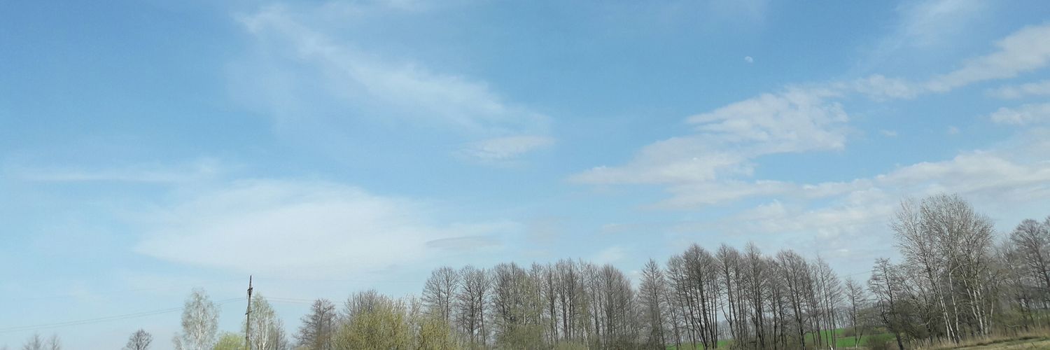 shitsshappen's profile banner image