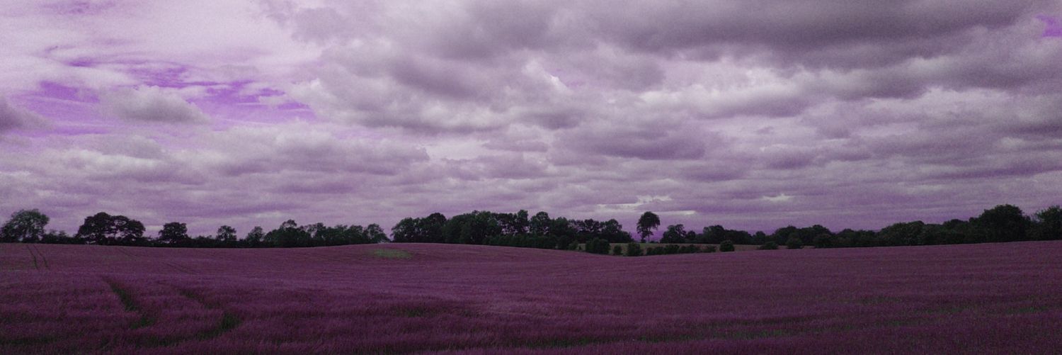 leslie V ⊙⊝⊜ banner