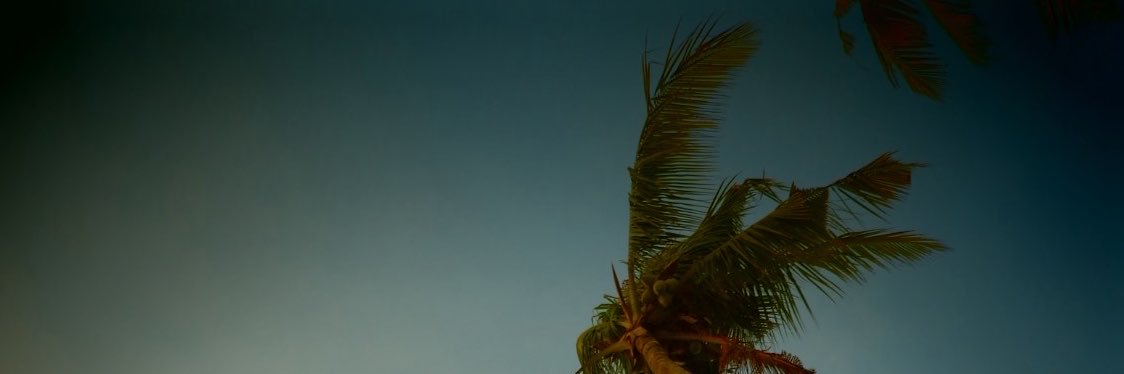 iamMitziMitz's profile banner image