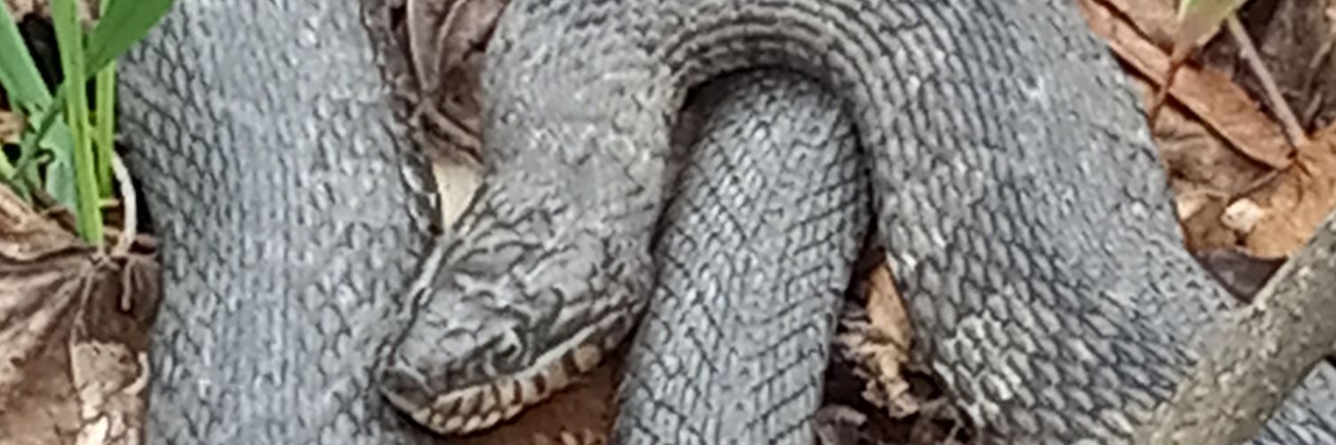 eric_erictracy's profile banner image