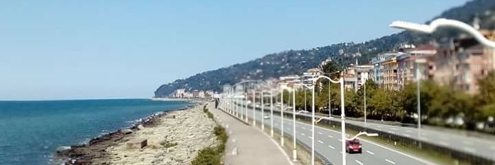 taylan53_53's profile banner image
